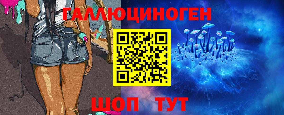 Псилоцибиновые грибы Cubensis Казань
